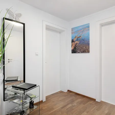 Apartment Rheintal *